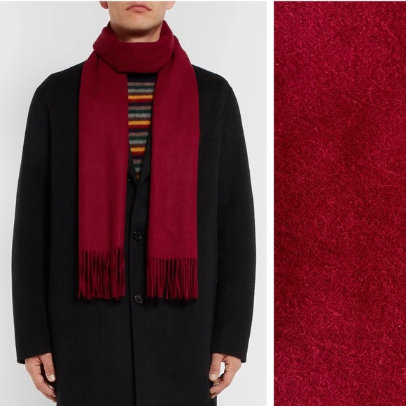 Alashan Accessories - Alashan Wool Cashmere Blend Cranberry Red Pink Fringe Scarf